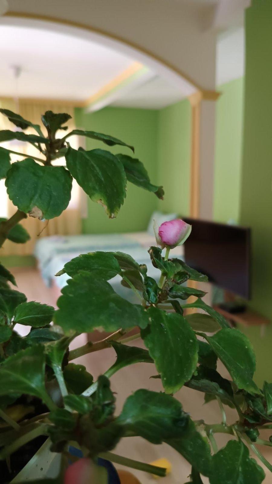 Villa Re3Ca Üsküp Dış mekan fotoğraf